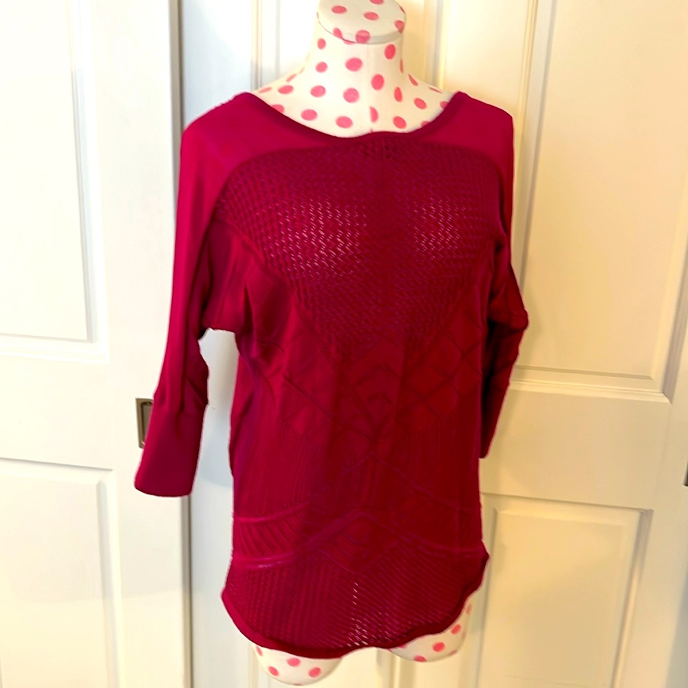 The Limited sweater top
